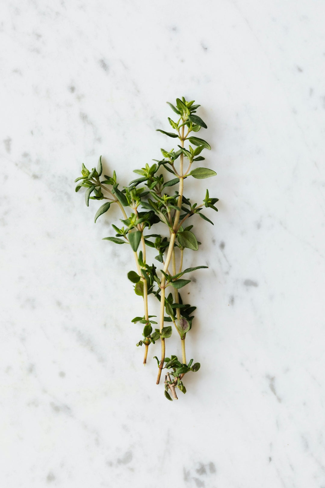 Fresh thyme sprigs on a marble surface